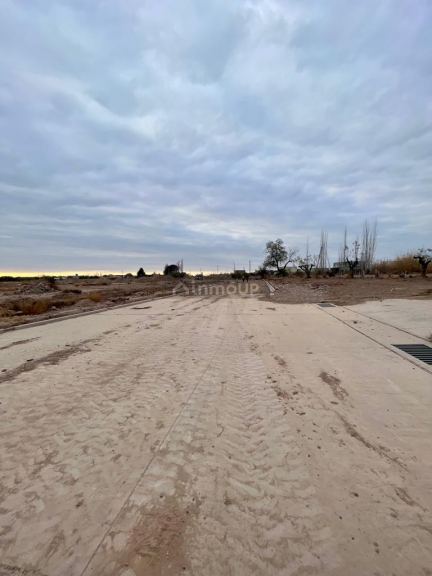 Loteo en Venta en Lujan de Cuyo, Mendoza