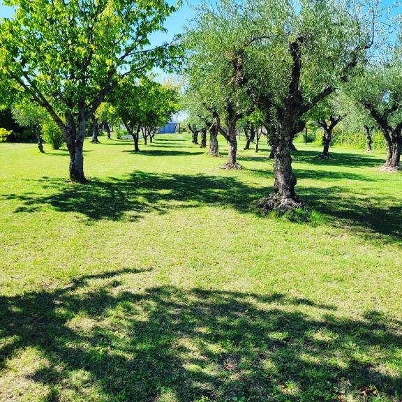 Terreno en Venta en Maipu, Mendoza