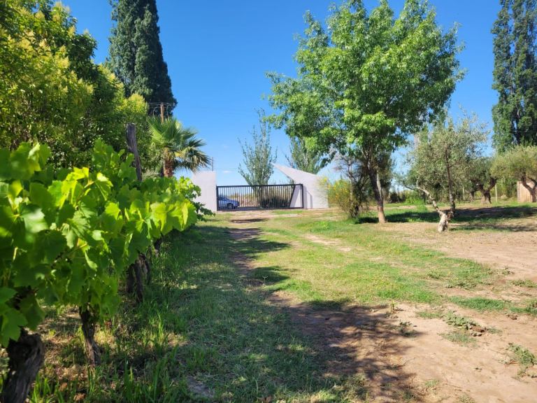 Terreno en Venta en Maipu, Mendoza