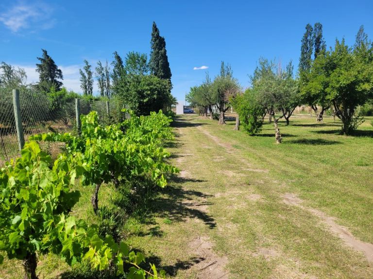 Terreno en Venta en Maipu, Mendoza