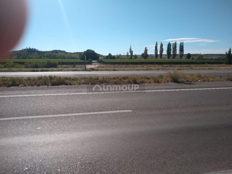 Terreno en Venta en Lujan de Cuyo, Mendoza