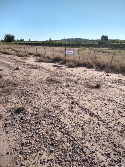 Terreno en Venta en Lujan de Cuyo, Mendoza
