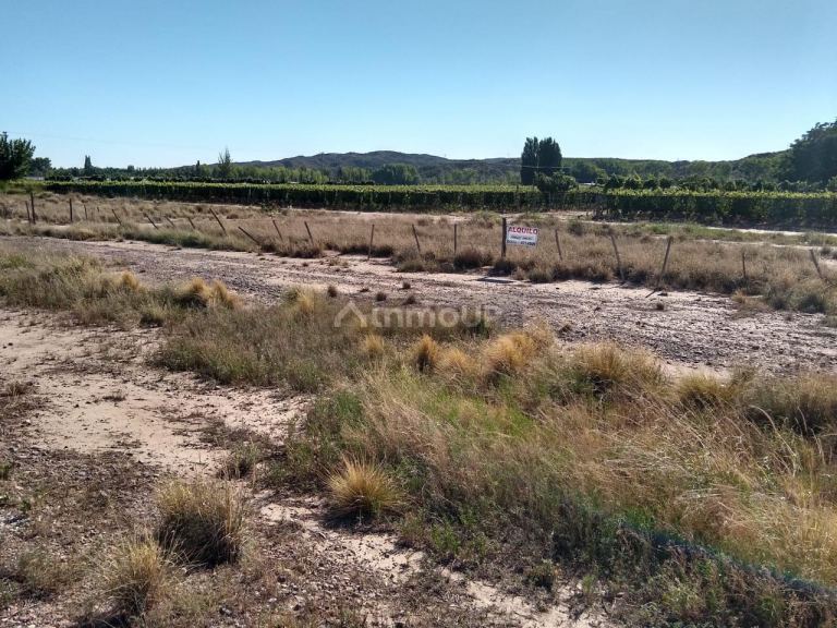 Terreno en Venta en Lujan de Cuyo, Mendoza