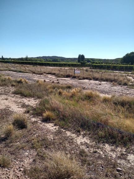 Terreno en Venta en Lujan de Cuyo, Mendoza