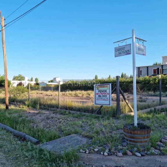 Lote en Venta en Lujan de Cuyo, Mendoza