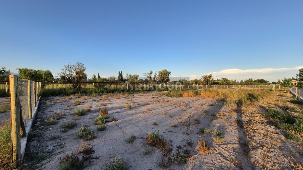 Lote en Venta en Lujan de Cuyo, Mendoza