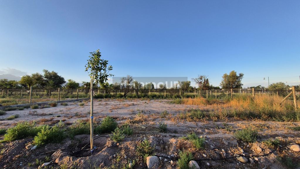 Lote en Venta en Lujan de Cuyo, Mendoza