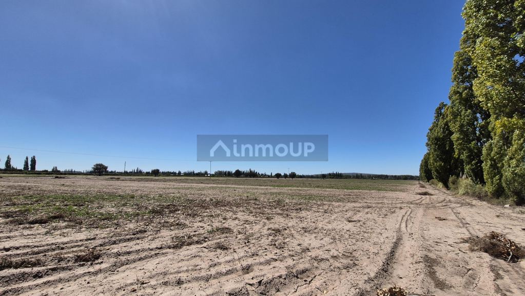 Finca en Venta en Lujan de Cuyo, Mendoza