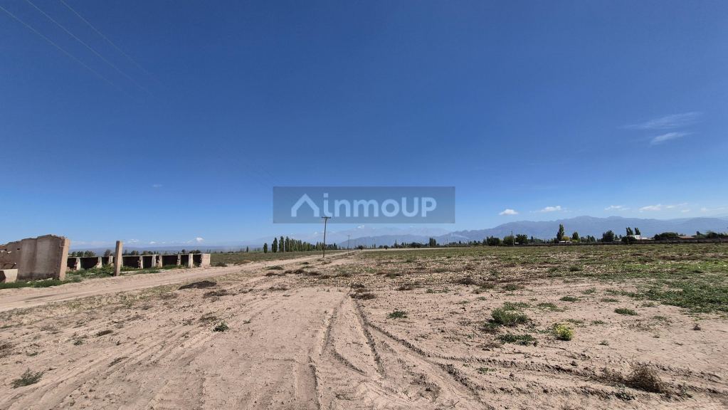 Finca en Venta en Lujan de Cuyo, Mendoza