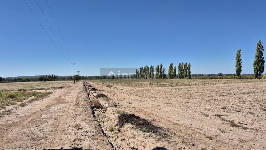 Finca en Venta en Lujan de Cuyo, Mendoza