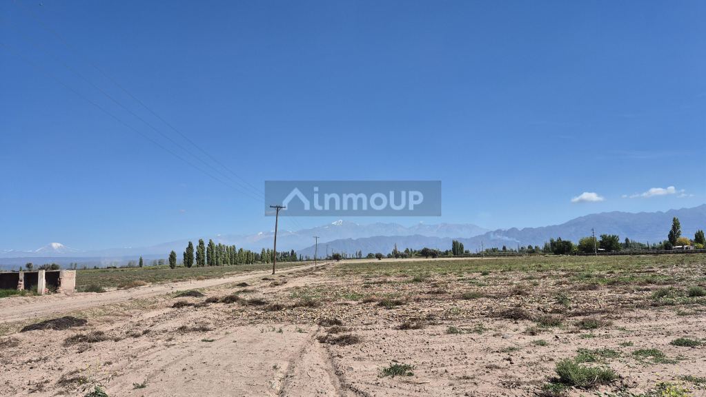 Finca en Venta en Lujan de Cuyo, Mendoza