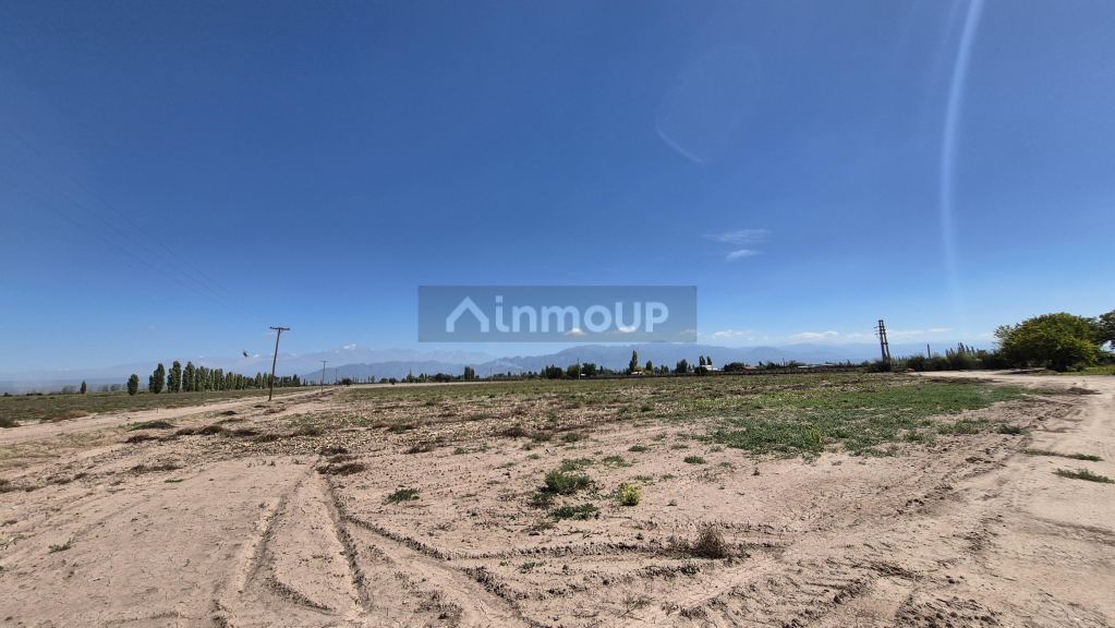 Finca en Venta en Lujan de Cuyo, Mendoza
