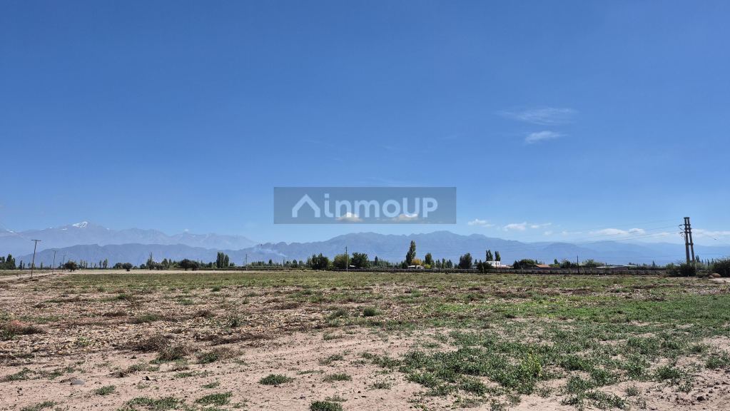 Finca en Venta en Lujan de Cuyo, Mendoza