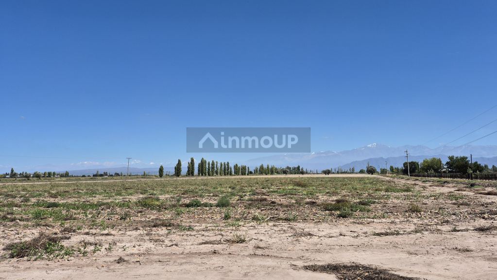 Finca en Venta en Lujan de Cuyo, Mendoza