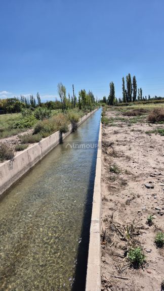 Finca en Venta en Lujan de Cuyo, Mendoza