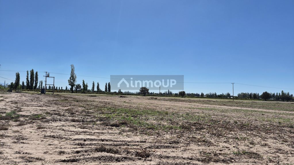Finca en Venta en Lujan de Cuyo, Mendoza