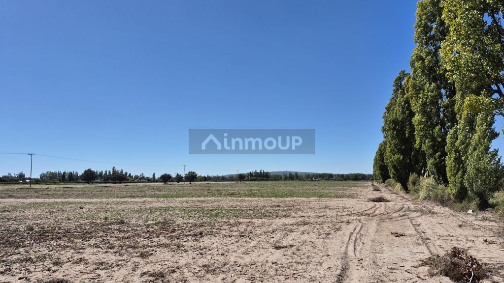 Finca en Venta en Lujan de Cuyo, Mendoza
