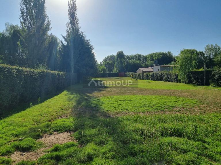 Lote en Venta en Lujan de Cuyo, Mendoza