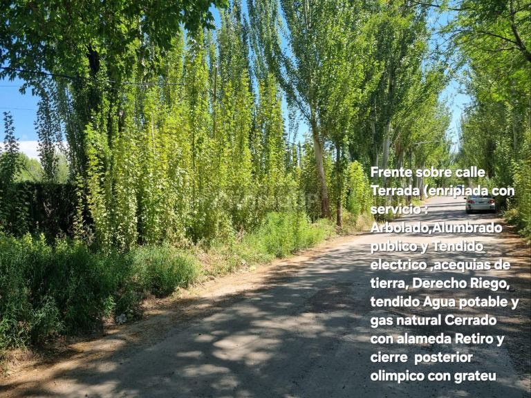 Lote en Venta en Lujan de Cuyo, Mendoza