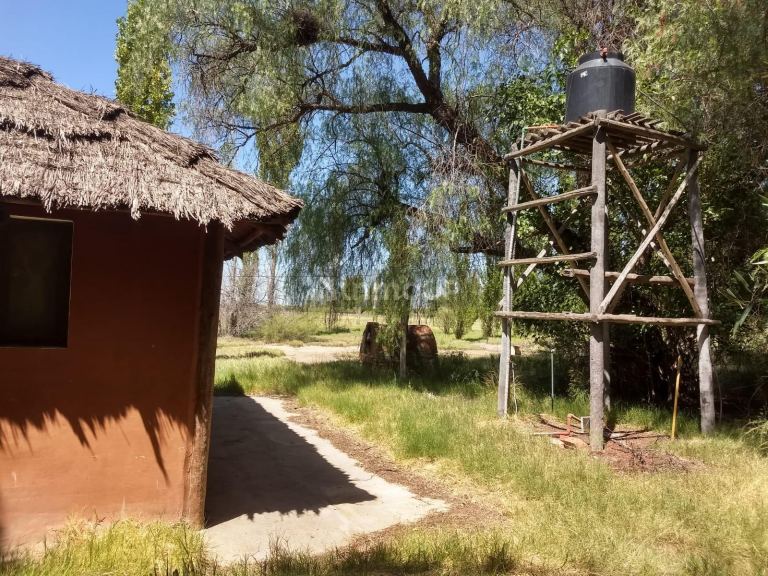 Finca en Venta en San Rafael, Mendoza