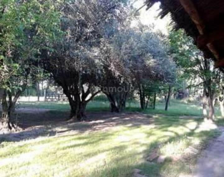 Finca en Venta en San Rafael, Mendoza