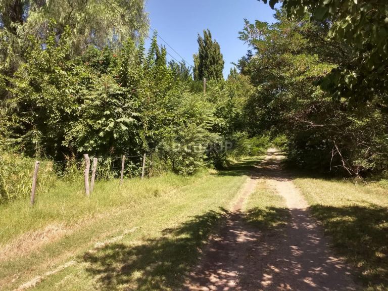 Finca en Venta en San Rafael, Mendoza