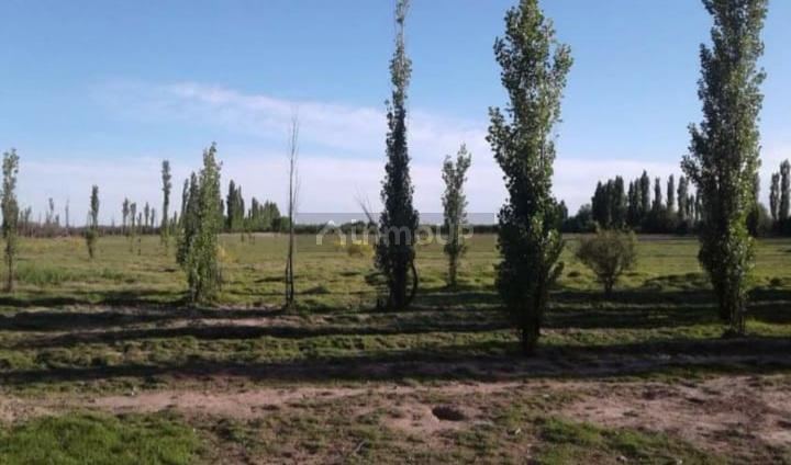 Finca en Venta en San Rafael, Mendoza