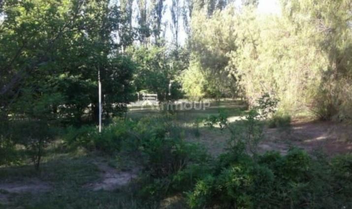 Finca en Venta en San Rafael, Mendoza