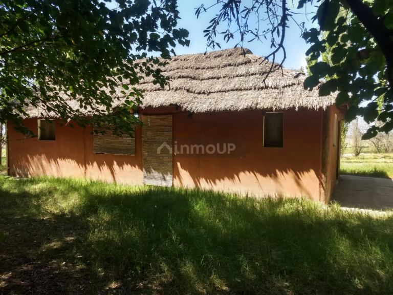 Finca en Venta en San Rafael, Mendoza