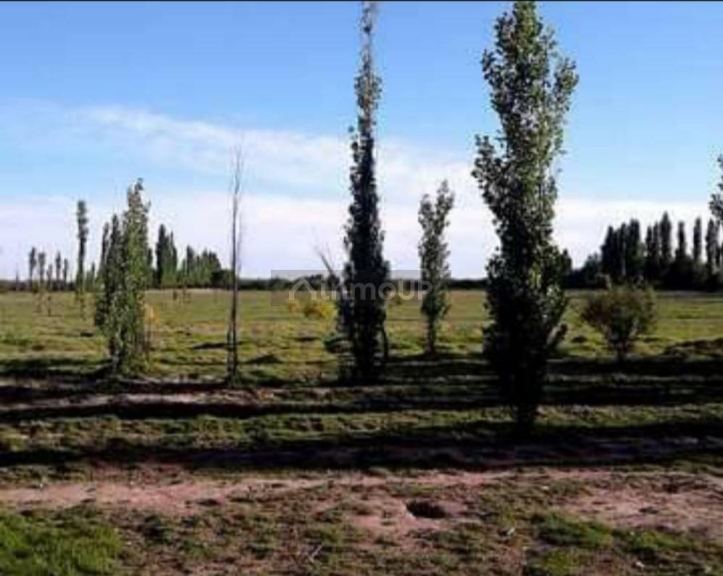 Finca en Venta en San Rafael, Mendoza