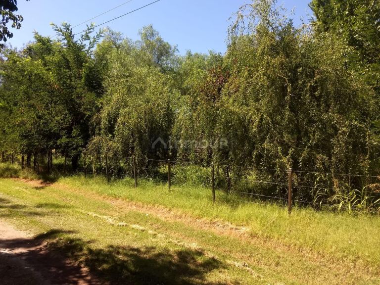 Finca en Venta en San Rafael, Mendoza
