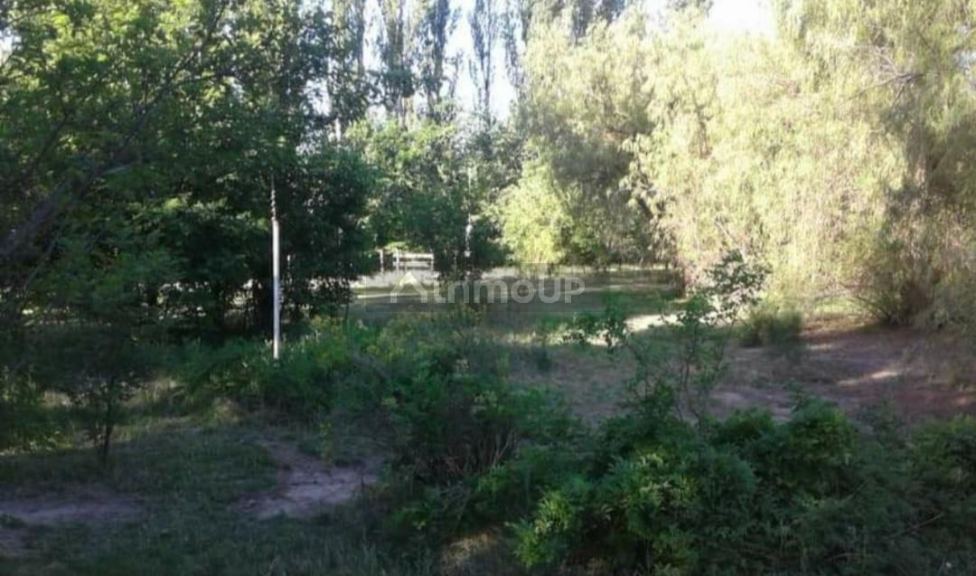 Finca en Venta en San Rafael, Mendoza