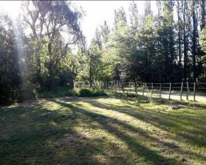 Finca en Venta en San Rafael, Mendoza