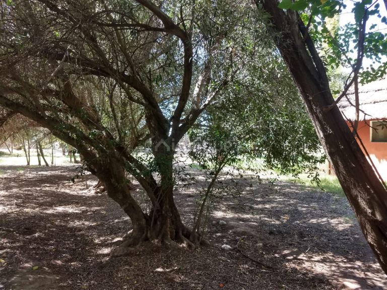 Finca en Venta en San Rafael, Mendoza