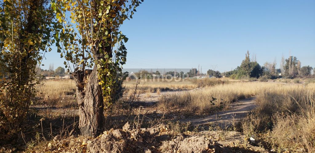 Lote en Venta en Maipu, Mendoza
