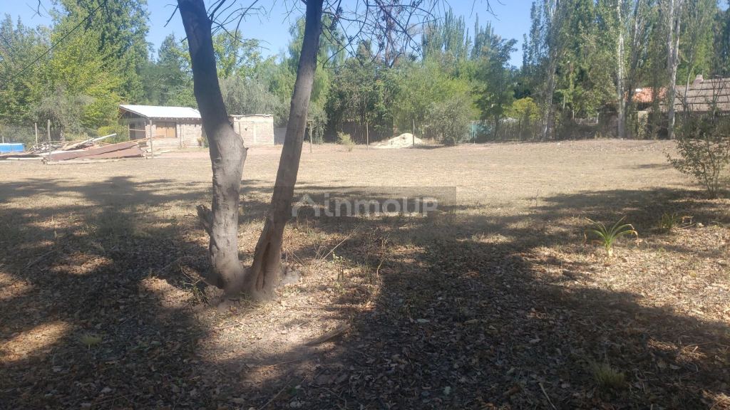 Lote en Venta en Lujan de Cuyo, Mendoza