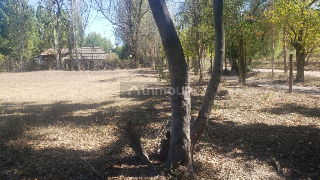 Lote en Venta en Lujan de Cuyo, Mendoza