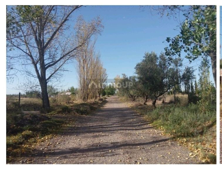 Galpon en Venta en Maipu, Mendoza