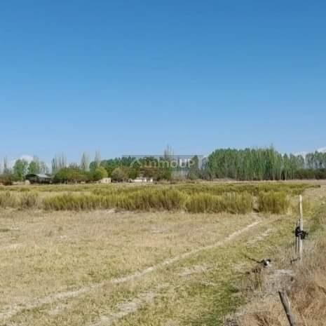 Finca en Venta en Lujan de Cuyo, Mendoza