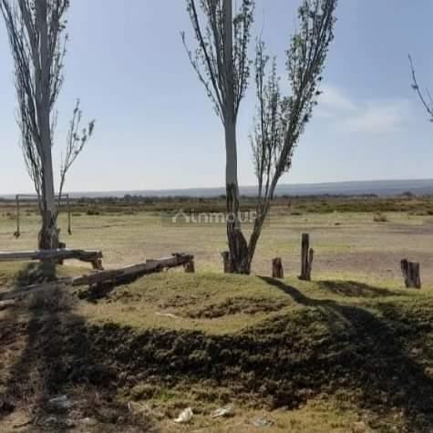 Finca en Venta en Lujan de Cuyo, Mendoza