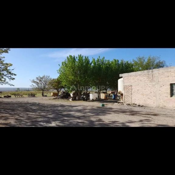 Finca en Venta en Lujan de Cuyo, Mendoza