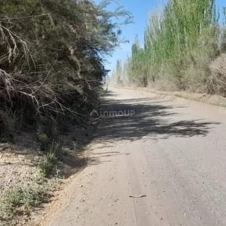 Finca en Venta en Lujan de Cuyo, Mendoza