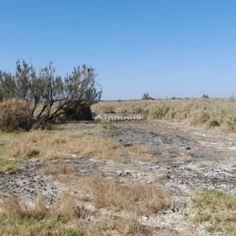 Finca en Venta en Lujan de Cuyo, Mendoza