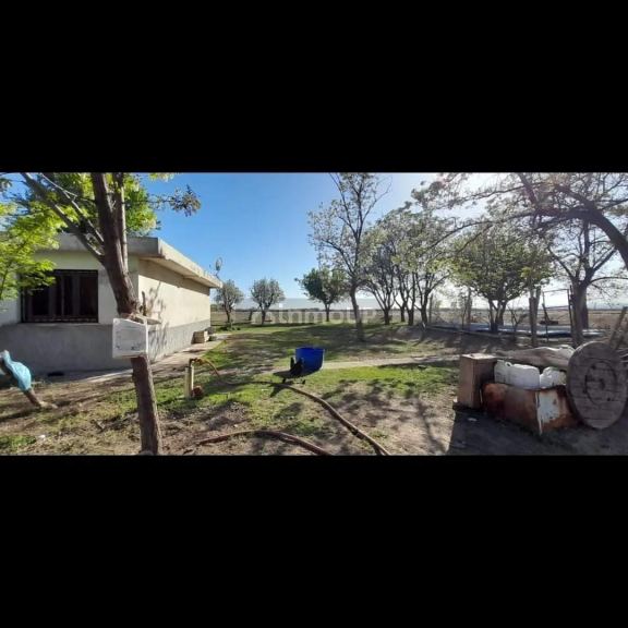 Finca en Venta en Lujan de Cuyo, Mendoza