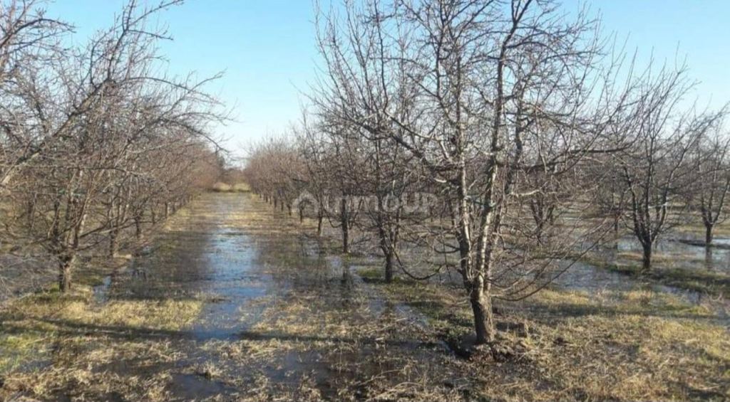 Finca en Venta en General alvear, Mendoza