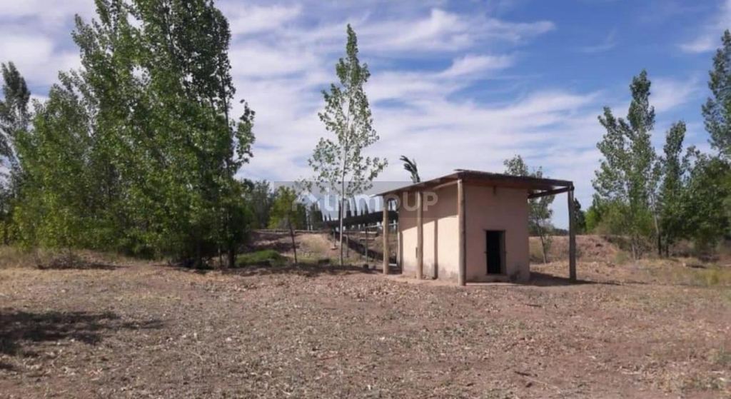 Finca en Venta en General alvear, Mendoza