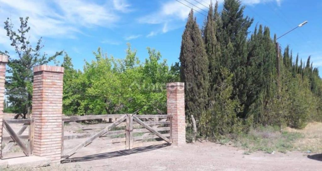 Finca en Venta en General alvear, Mendoza