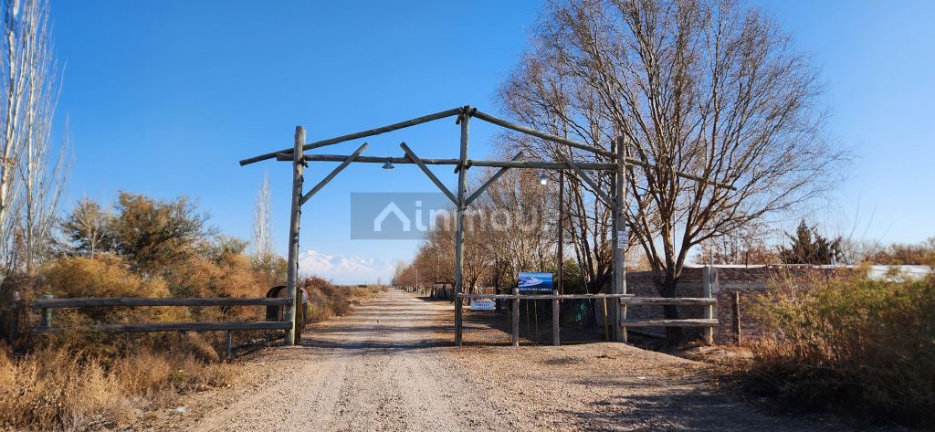 Lote en Venta en Lujan de Cuyo, Mendoza