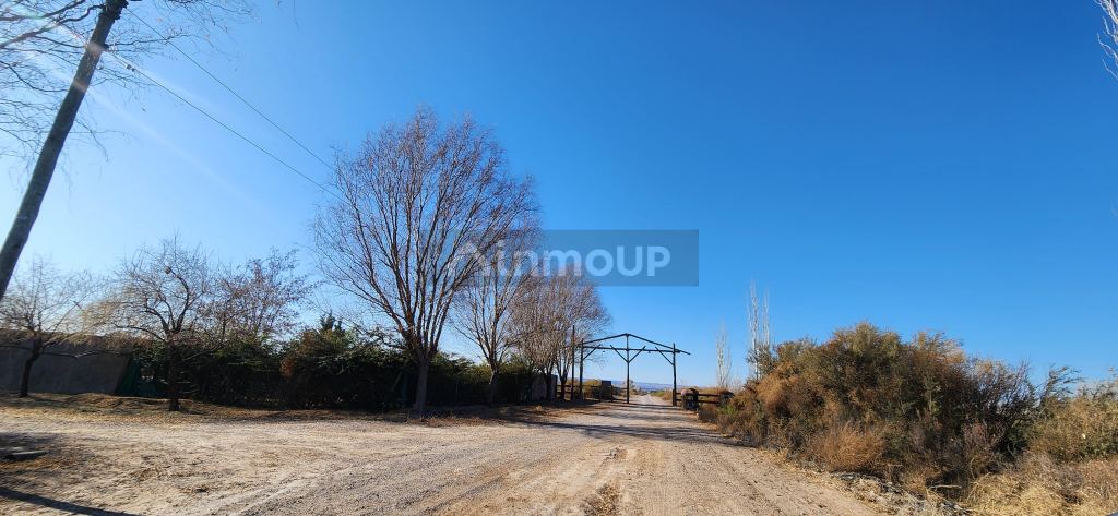 Lote en Venta en Lujan de Cuyo, Mendoza