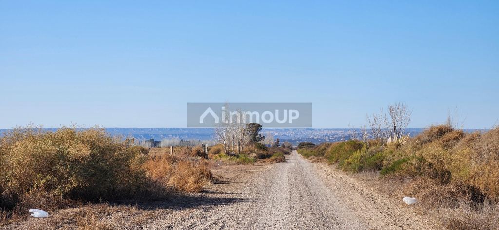 Lote en Venta en Lujan de Cuyo, Mendoza